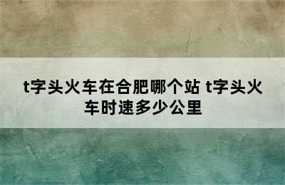 t字头火车在合肥哪个站 t字头火车时速多少公里